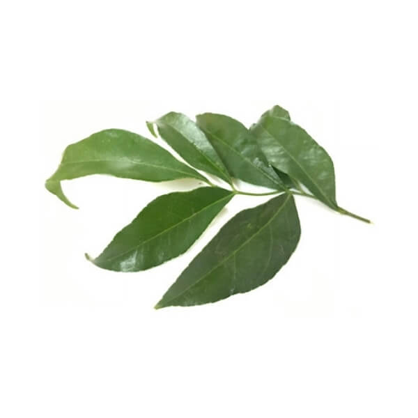 Lá mắc mật