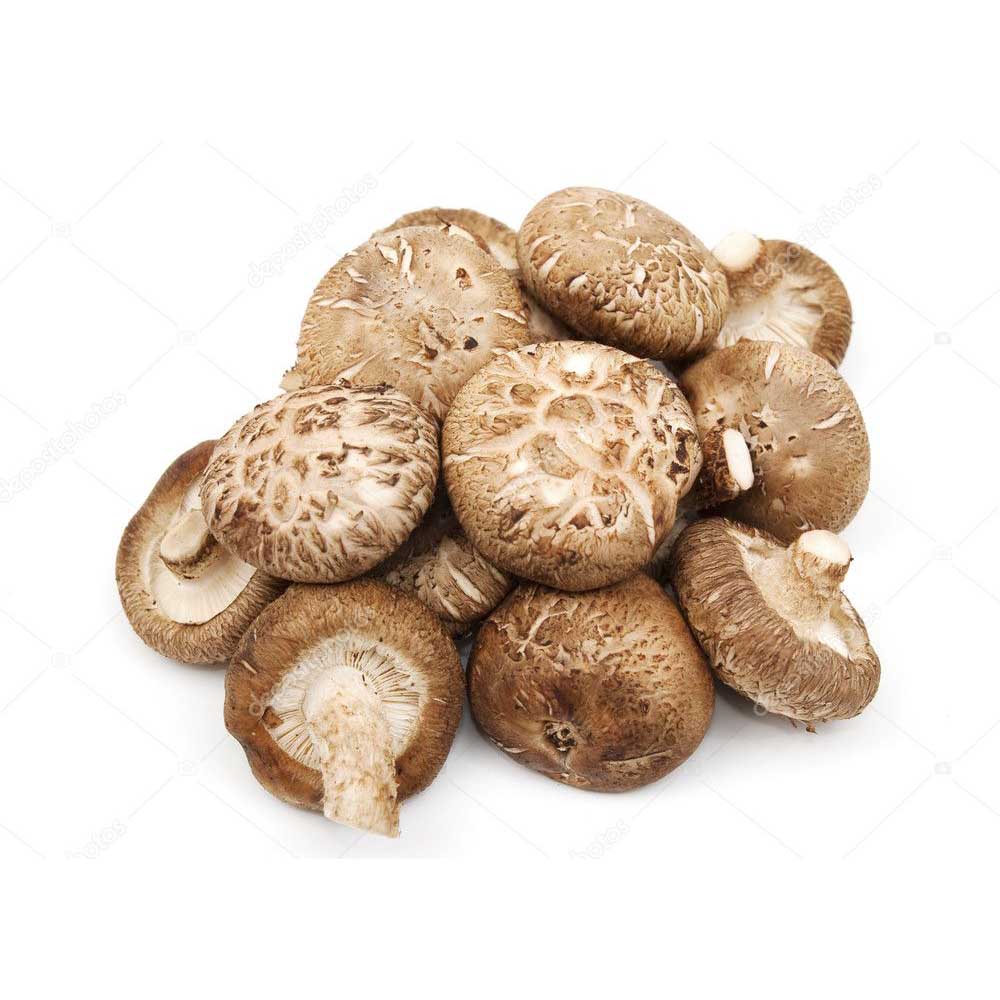 Nấm đông cô