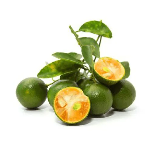 Quả Tắc