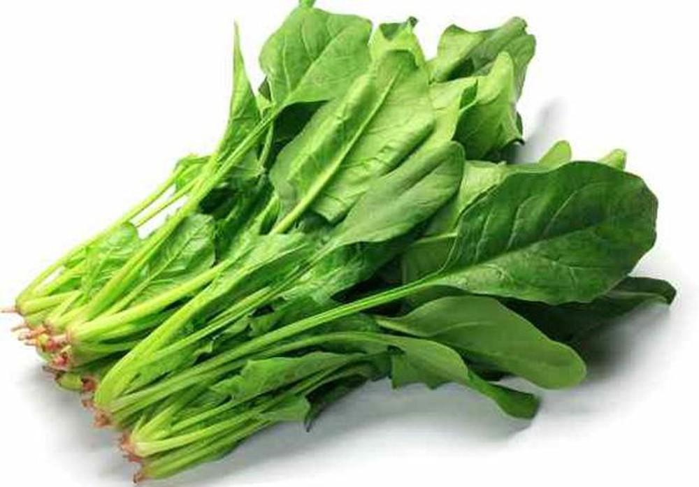 Cải bó xôi 