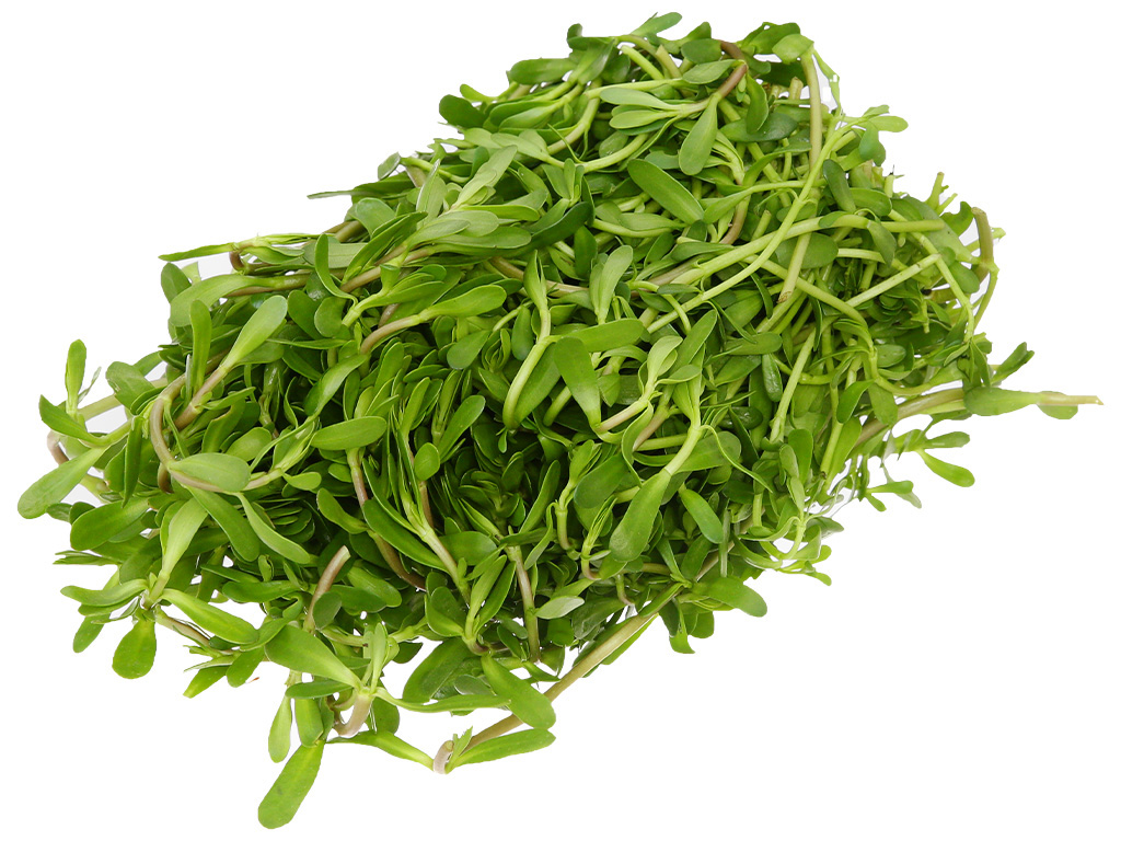 Rau Đắng