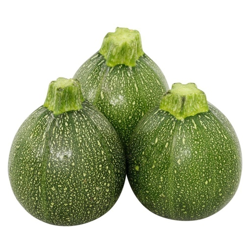 Bí ngòi tròn