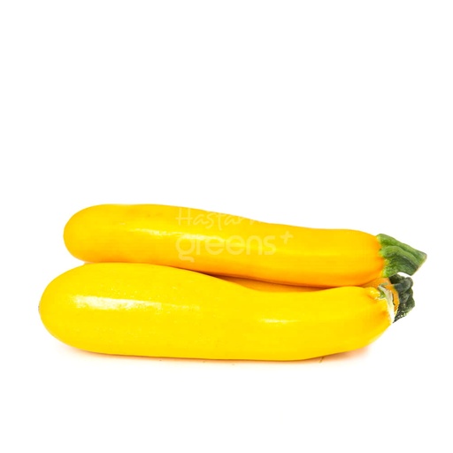 Bí ngòi vàng