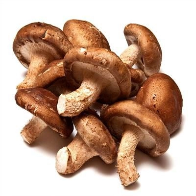 Nấm hương