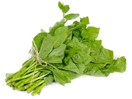 Rau Mồng Tơi