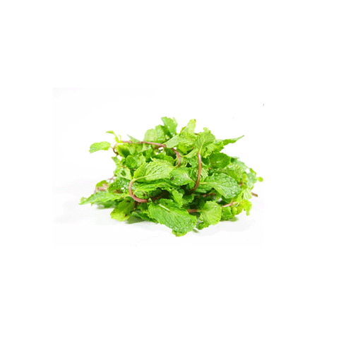 Húng lủi