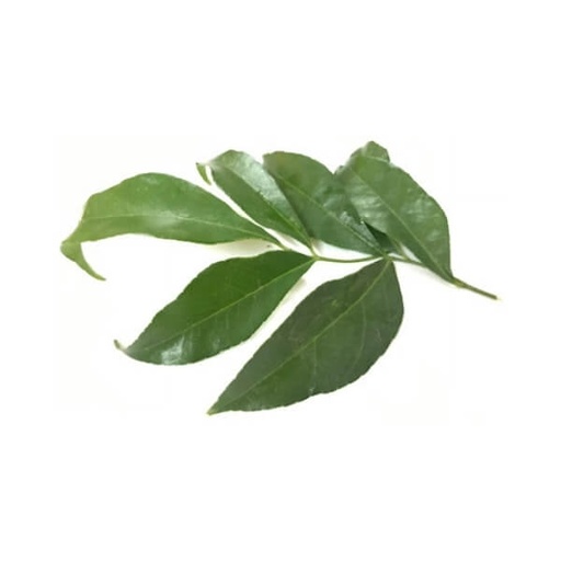 Lá mắc mật