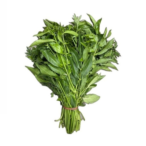 Combo rau rừng 